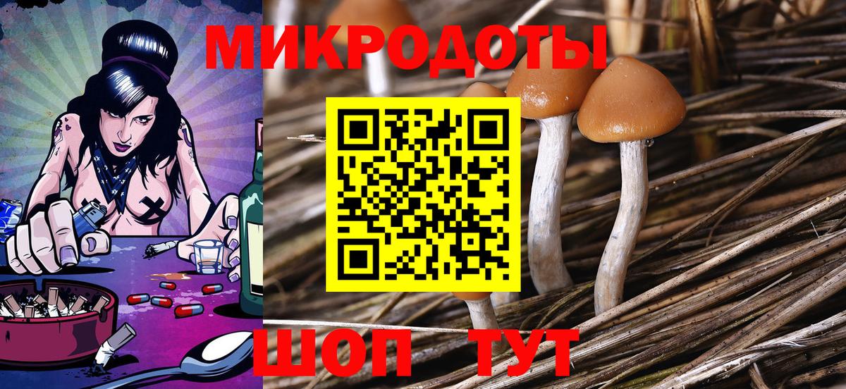 Псилоцибиновые грибы Cubensis  Вход с VPN  Павловский Посад 